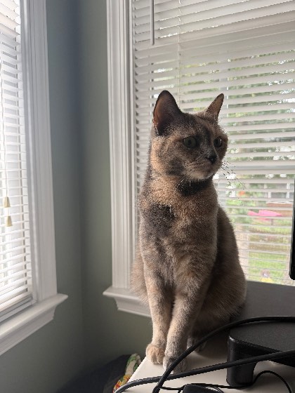 Test Photos